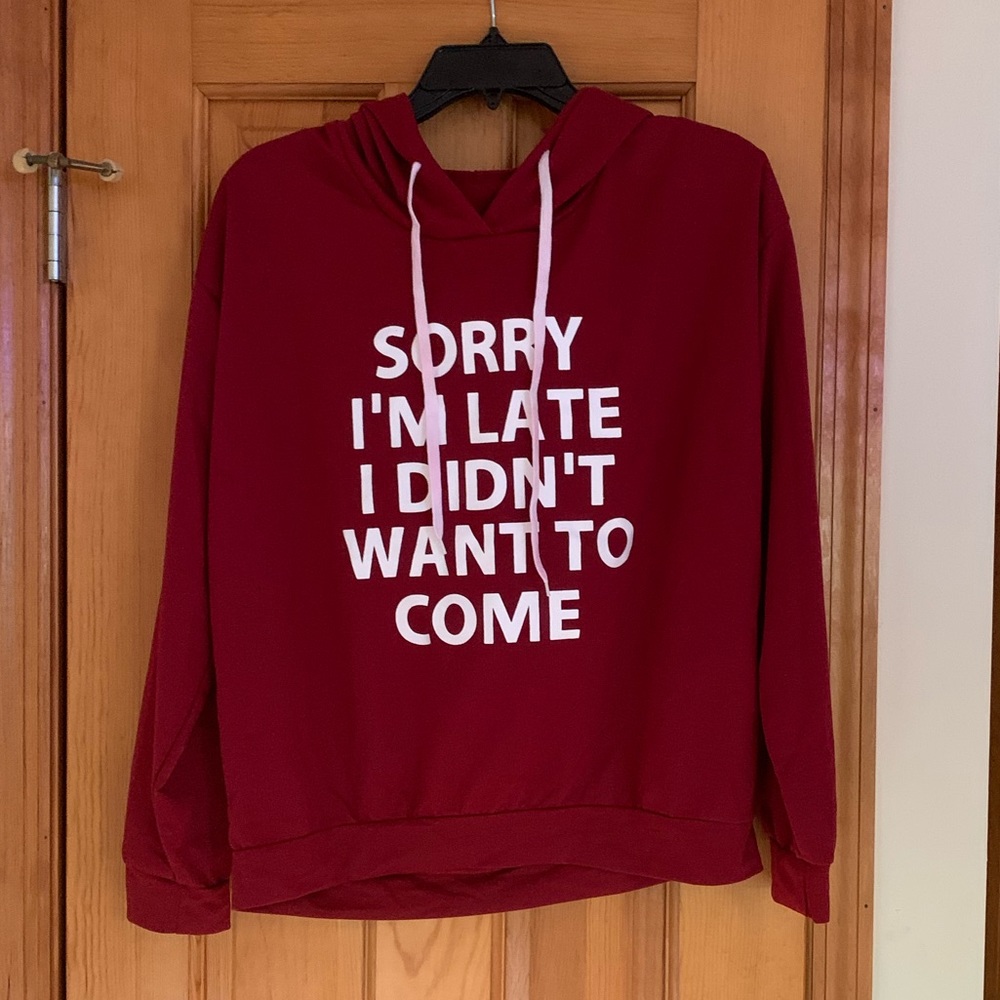 NWOT Graphic Hoodie